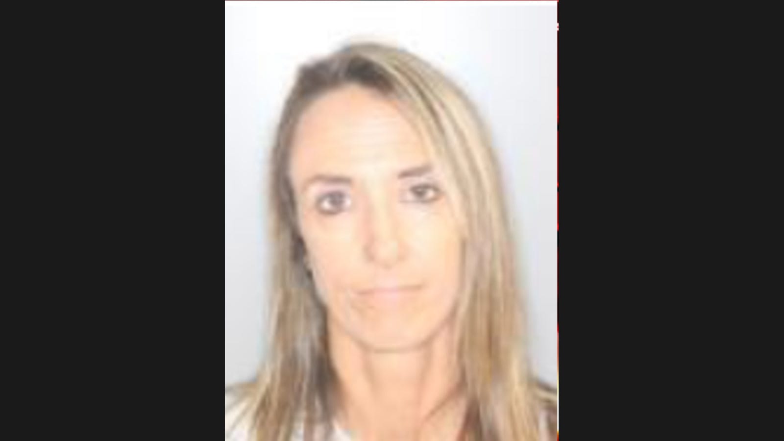 Albany County sheriff’s investigator charged after 4,000+ personal Flock ALPR searches