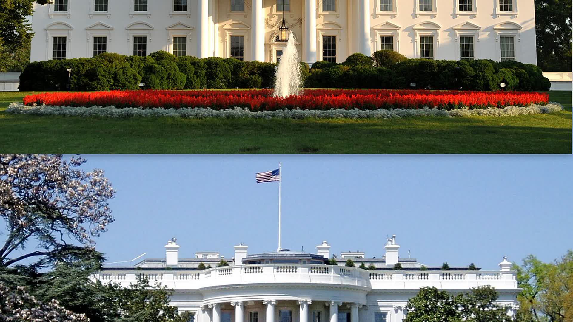 White House pulls Tetris-style ‘Build The Wall’ game after Tetris Company copyright pushback